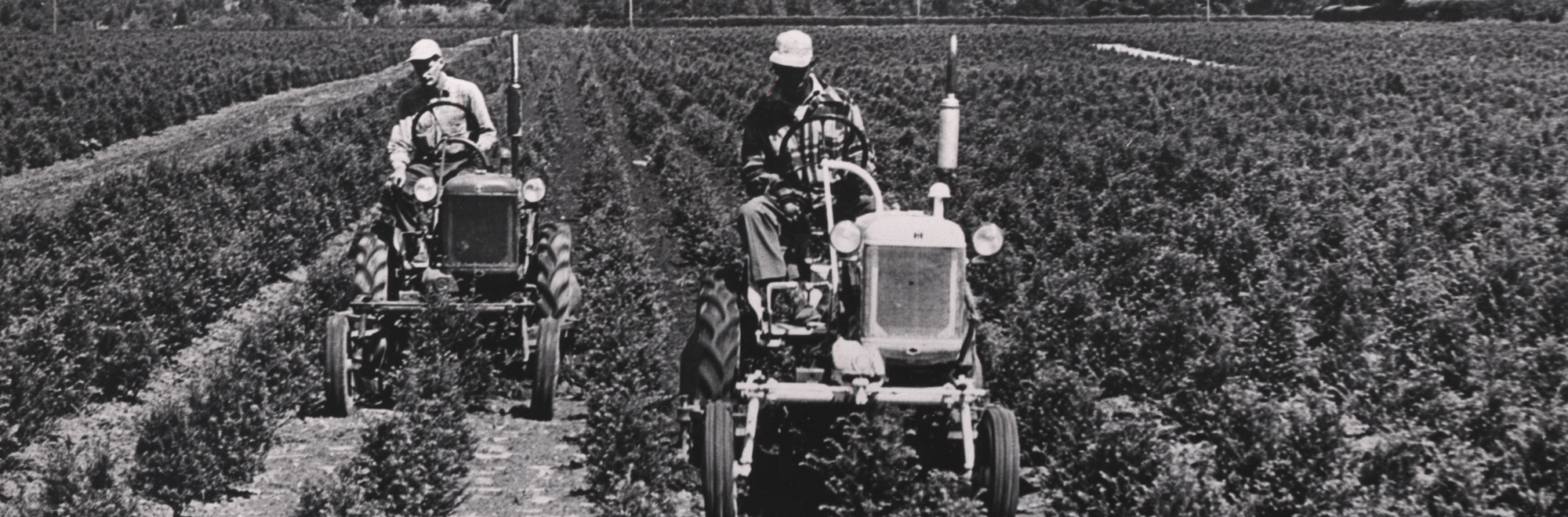 men on tractors in an agricultural field