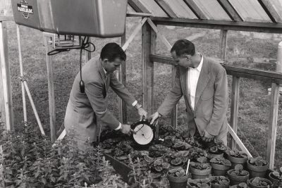historical image of two men in a greenhouse