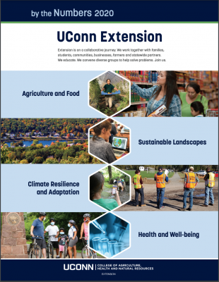 Extension impact sheet cover 2020
