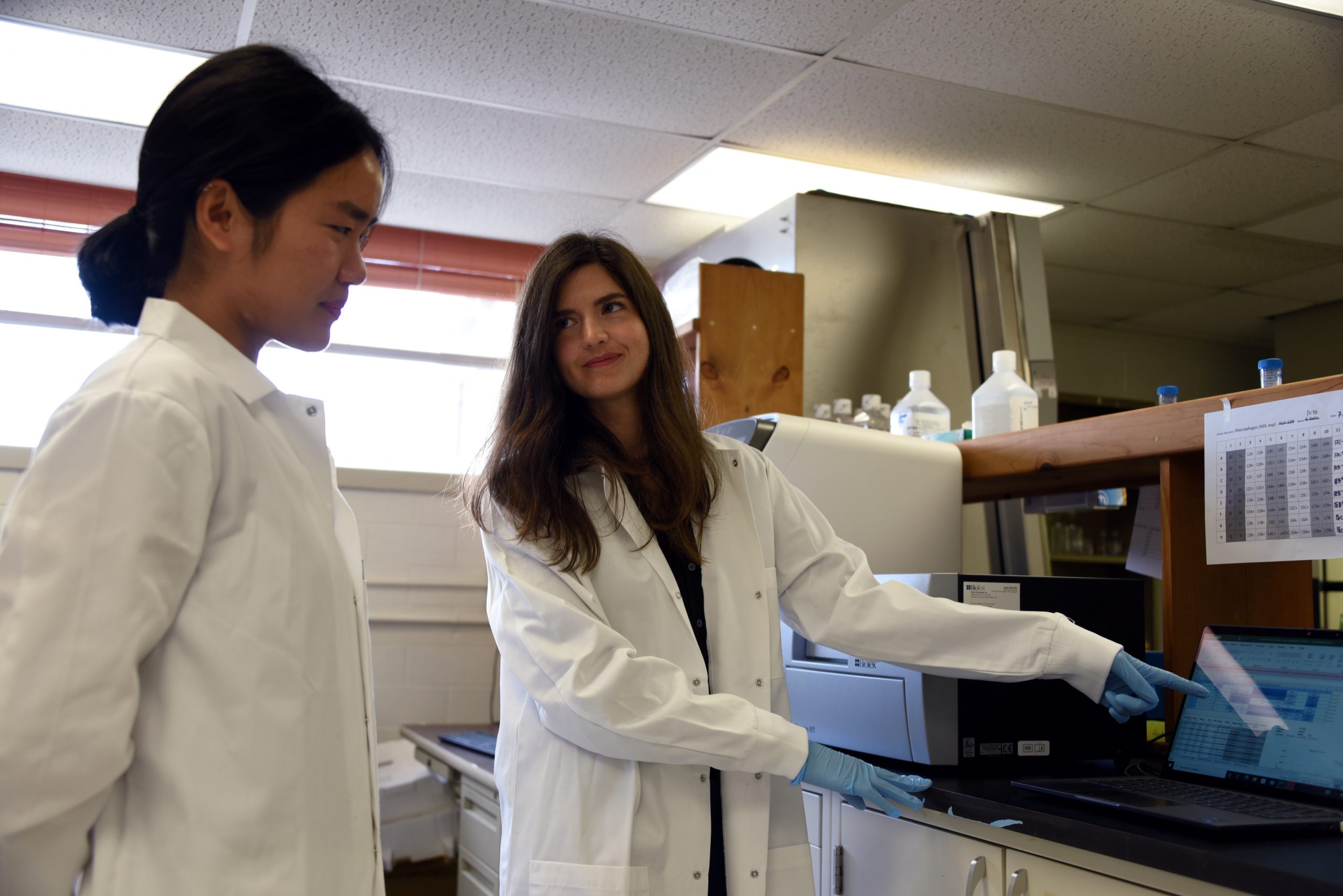 Catherine Andersen of the Department of Nutritional Sciences works with a student in her lab in the Roy E. Jones Building.