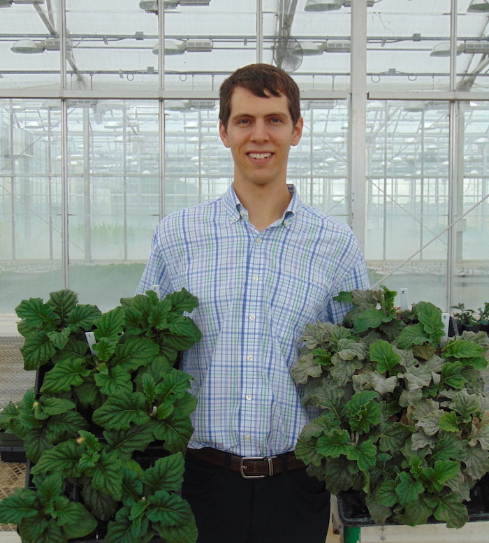 Charles Krasnow in a greenhouse with plants