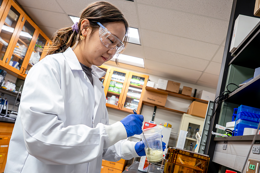 a graduate student in the Department of Nutritional Sciences works in a lab on a seaweed yogurt product
