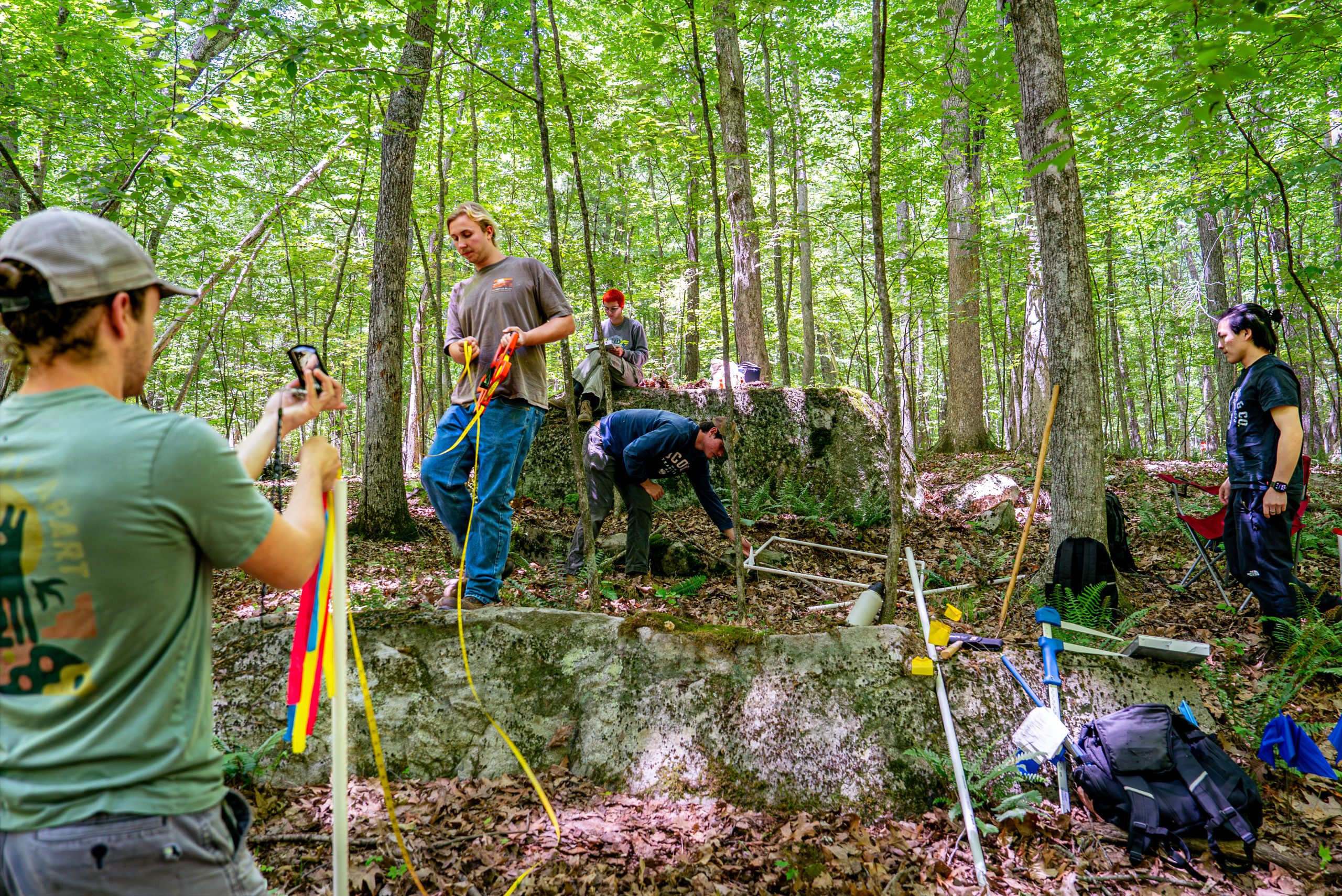 students doing research in UConn Forest