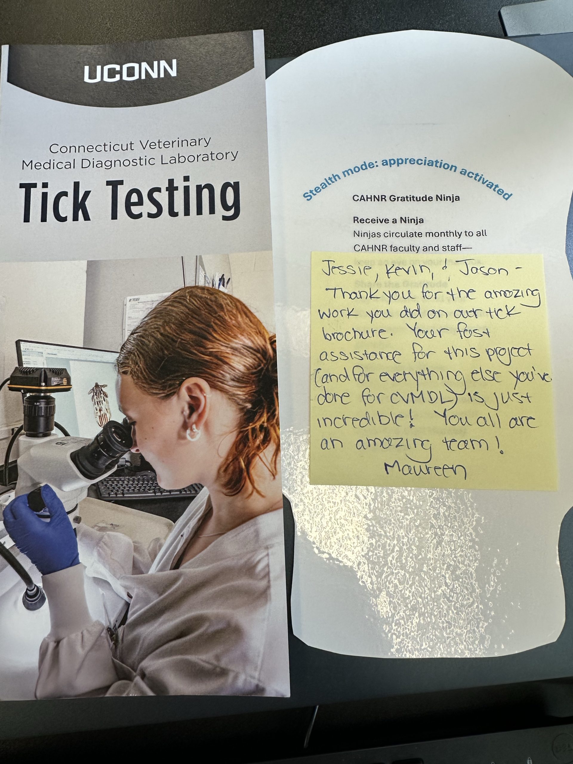Gratitude Ninja in recognition of the Office of Communications design and production of a Tick Testing brochure
